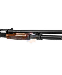 BEKAS-12