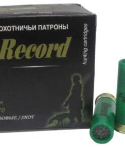 Record №2