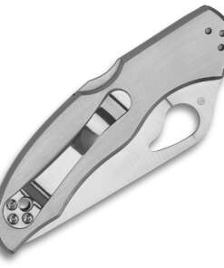 Spyderco Byrd Harrier 2 BY01PS2