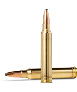 300 WIN MAG