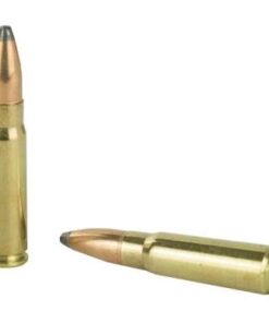 .308 WIN