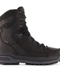 LOWA RENEGADE EVO ICE GTX Brown